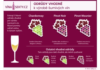 Odrůdy vhodné k výrobě šumivých vín